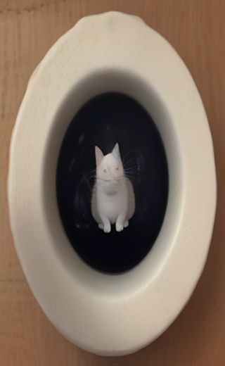 电视猫 app 安装完成界面,手机桌面上一个蓝色渐变圆形图标,下方文字欢迎使用